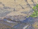 PICTURES/Ring of Kerry - Valentia Island/t_20250928_130756a.jpg